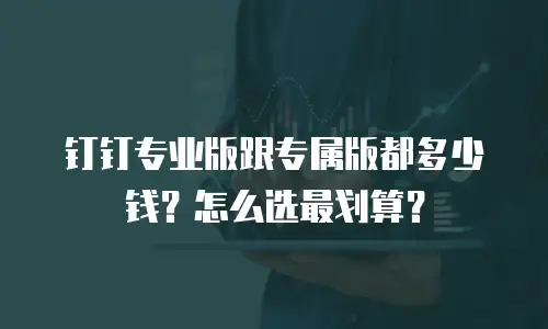 钉钉专业版跟专属版都多少钱？怎么选最划算？