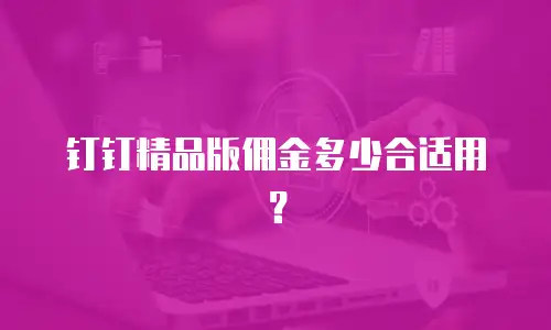 钉钉精品版佣金多少合适用？