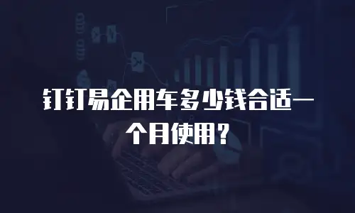 钉钉易企用车多少钱合适一个月使用？
