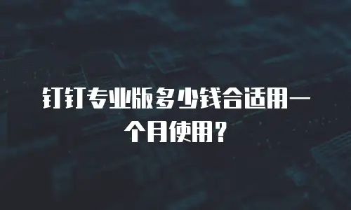 钉钉专业版多少钱合适用一个月使用？