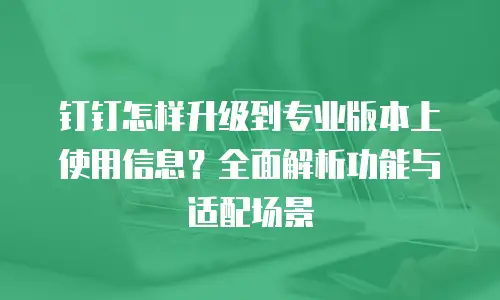 钉钉怎样升级到专业版本上使用信息？全面解析功能与适配场景