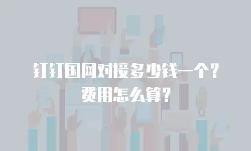 钉钉国网对接多少钱一个？费用怎么算？
