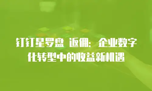 钉钉星罗盘 返佣：企业数字化转型中的收益新机遇
