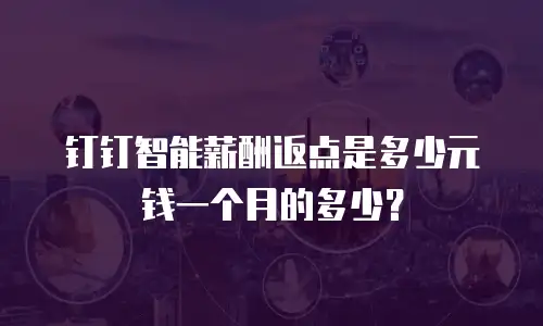钉钉智能薪酬返点是多少元钱一个月的多少？