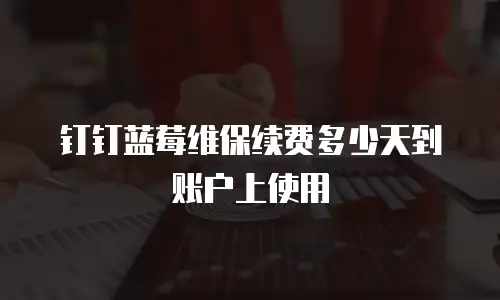 钉钉蓝莓维保续费多少天到账户上使用