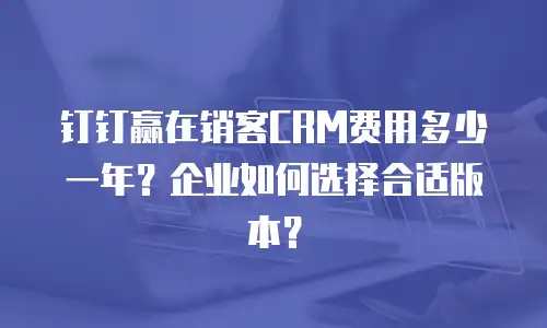 钉钉赢在销客CRM费用多少一年？企业如何选择合适版本？