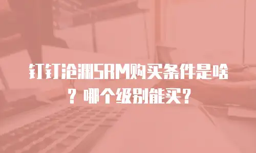 钉钉沧渊SRM购买条件是啥？哪个级别能买？