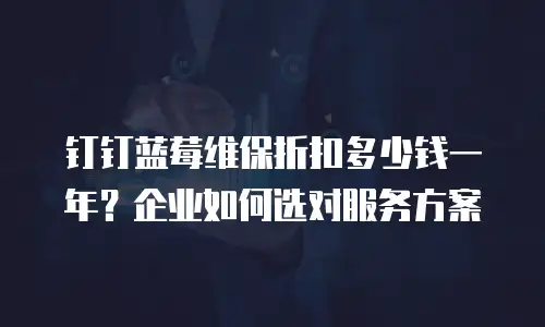 钉钉蓝莓维保折扣多少钱一年？企业如何选对服务方案