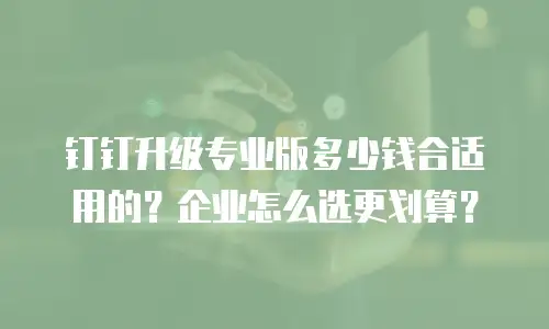 钉钉升级专业版多少钱合适用的？企业怎么选更划算？