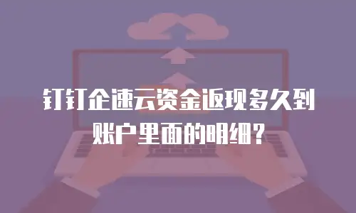 钉钉企速云资金返现多久到账户里面的明细？