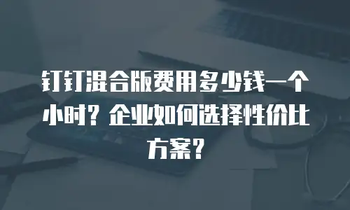 钉钉混合版费用多少钱一个小时？企业如何选择性价比方案？