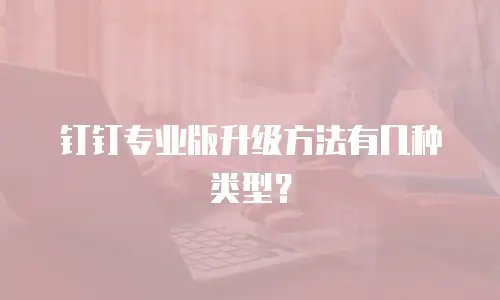 钉钉专业版升级方法有几种类型？