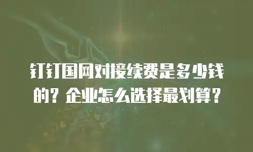 钉钉国网对接续费是多少钱的？企业怎么选择最划算？