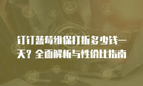 钉钉蓝莓维保打折多少钱一天？全面解析与性价比指南