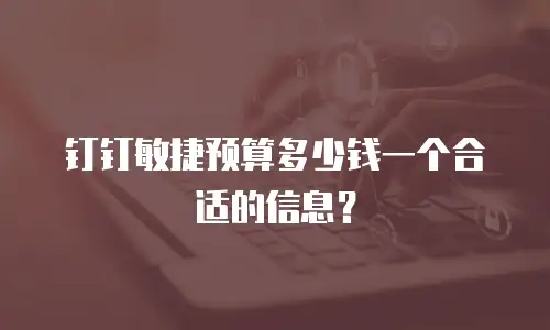 钉钉敏捷预算多少钱一个合适的信息？