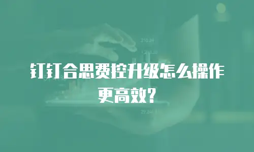 钉钉合思费控升级怎么操作更高效？