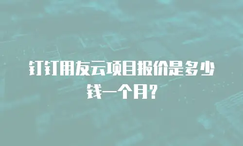钉钉用友云项目报价是多少钱一个月？