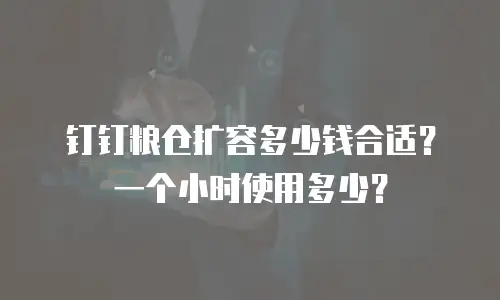 钉钉粮仓扩容多少钱合适？一个小时使用多少？