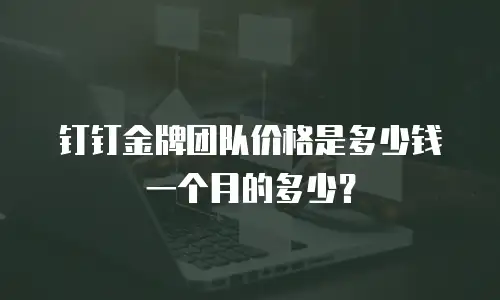 钉钉金牌团队价格是多少钱一个月的多少？