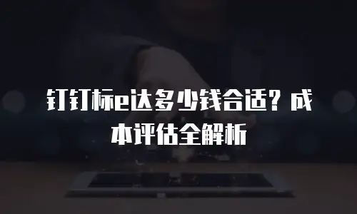 钉钉标e达多少钱合适？成本评估全解析