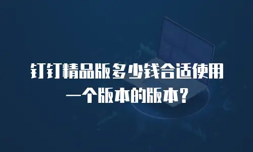 钉钉精品版多少钱合适使用一个版本的版本？