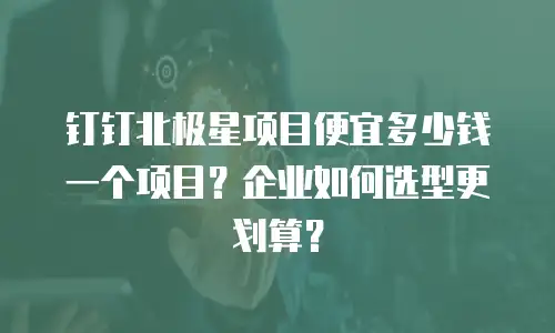 钉钉北极星项目便宜多少钱一个项目？企业如何选型更划算？