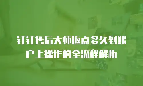 钉钉售后大师返点多久到账户上操作的全流程解析