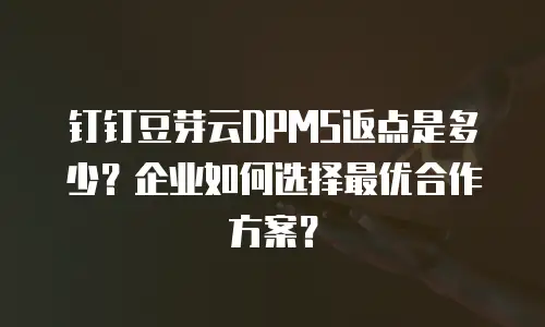 钉钉豆芽云DPMS返点是多少？企业如何选择最优合作方案？