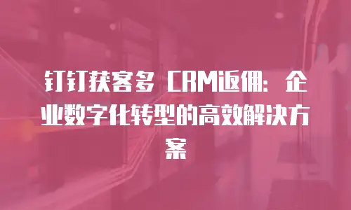 钉钉获客多 CRM返佣：企业数字化转型的高效解决方案
