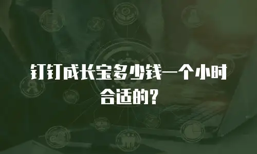 钉钉成长宝多少钱一个小时合适的？