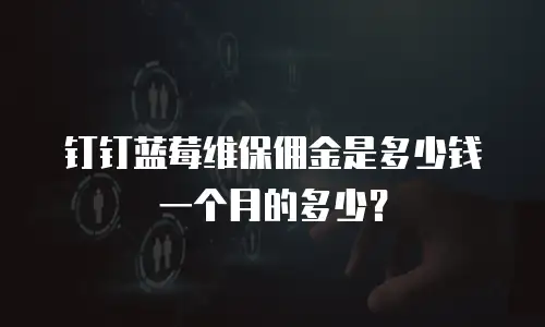 钉钉蓝莓维保佣金是多少钱一个月的多少？