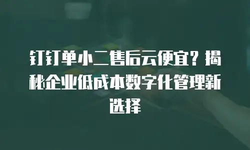 钉钉单小二售后云便宜？揭秘企业低成本数字化管理新选择