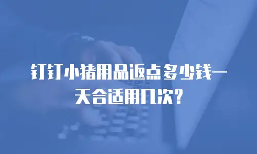 钉钉小猪用品返点多少钱一天合适用几次？