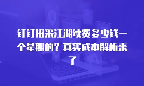 钉钉招采江湖续费多少钱一个星期的？真实成本解析来了