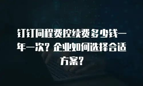 钉钉同程费控续费多少钱一年一次？企业如何选择合适方案？