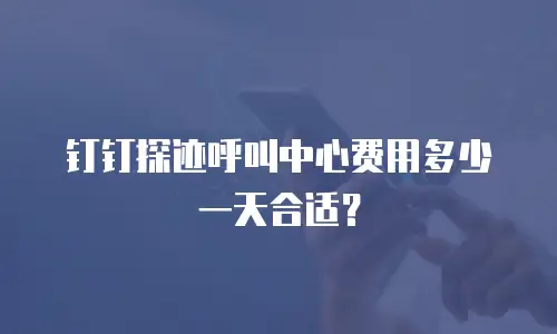 钉钉探迹呼叫中心费用多少一天合适？