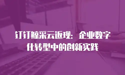 钉钉鲸采云返现：企业数字化转型中的创新实践