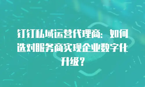 钉钉私域运营代理商：如何选对服务商实现企业数字化升级？