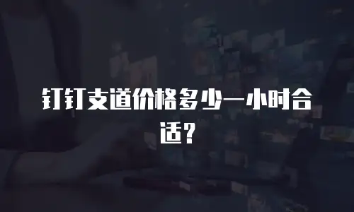 钉钉支道价格多少一小时合适？