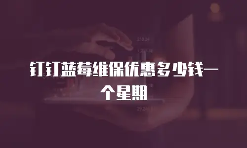 钉钉蓝莓维保优惠多少钱一个星期