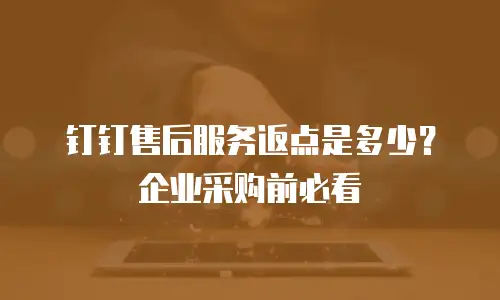 钉钉售后服务返点是多少？企业采购前必看