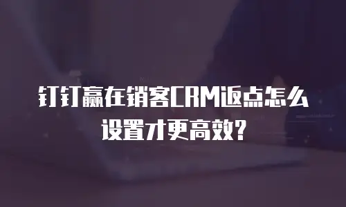 钉钉赢在销客CRM返点怎么设置才更高效？