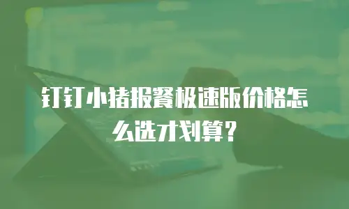 钉钉小猪报餐极速版价格怎么选才划算？