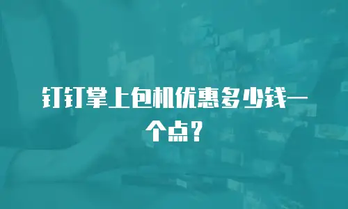 钉钉掌上包机优惠多少钱一个点？