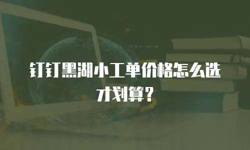钉钉黑湖小工单价格怎么选才划算？