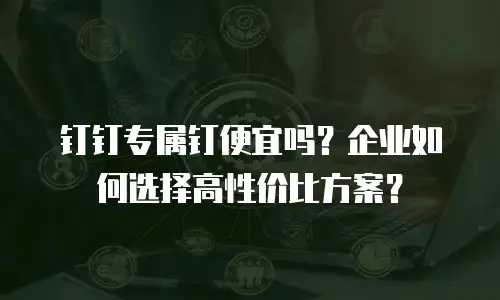钉钉专属钉便宜吗？企业如何选择高性价比方案？