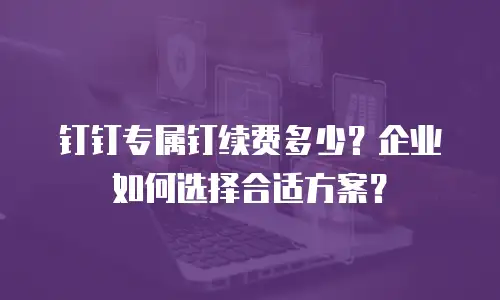 钉钉专属钉续费多少？企业如何选择合适方案？