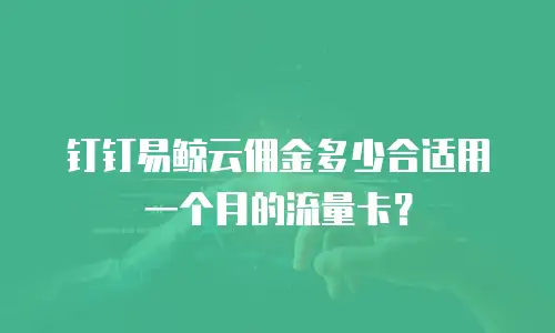 钉钉易鲸云佣金多少合适用一个月的流量卡？