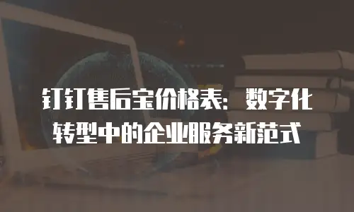钉钉售后宝价格表：数字化转型中的企业服务新范式