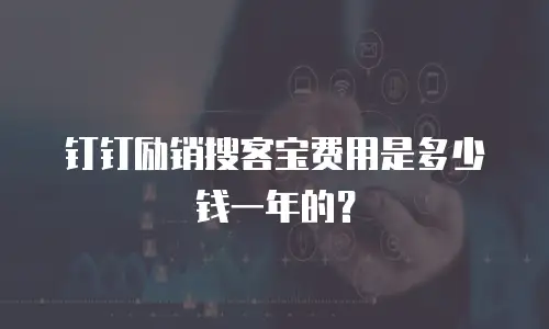 钉钉励销搜客宝费用是多少钱一年的？